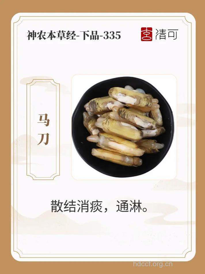 马刀的功效与作用