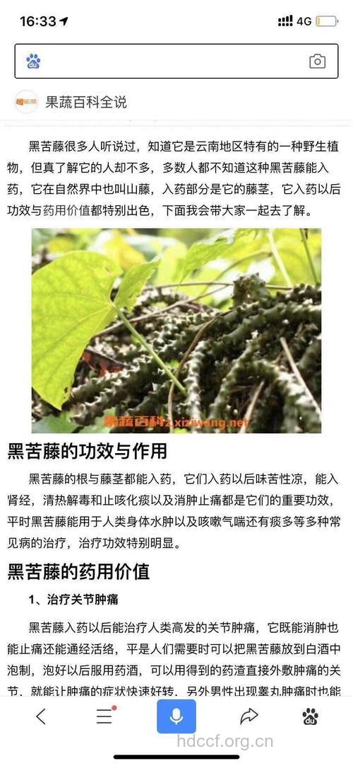 千里找根的功效与作用