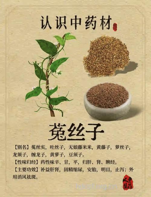 菟丝的功效与作用