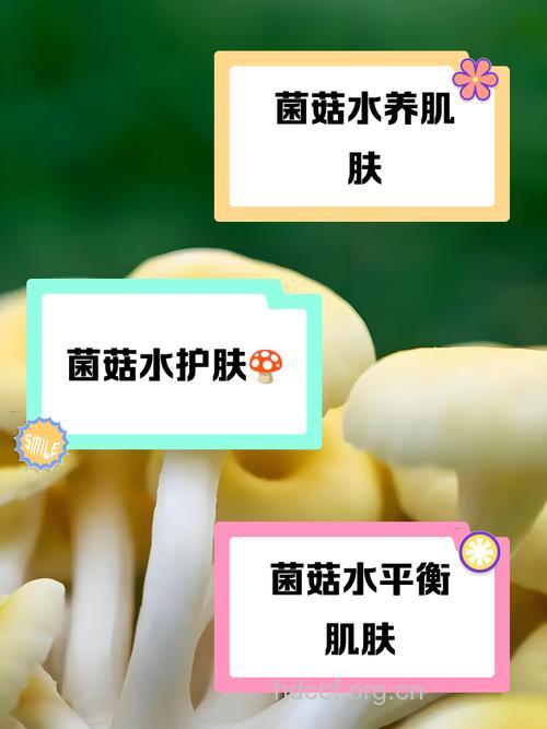 水菇里的功效与作用
