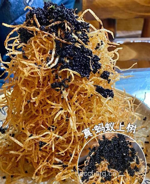 蚂蚁上树的功效与作用