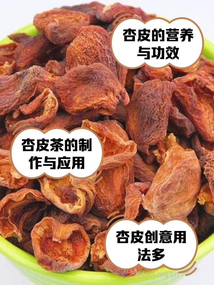 杏树皮的功效与作用