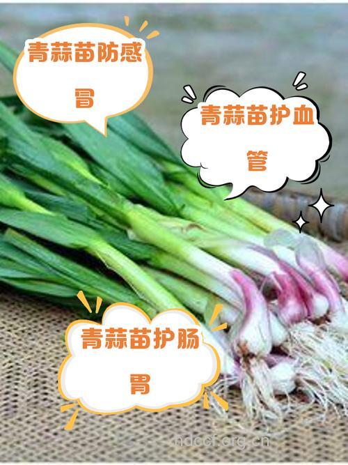 青蒜的功效与作用