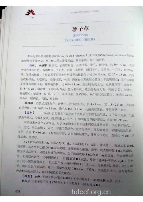 蓼子草的功效与作用