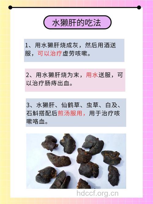 獭肝的功效与作用