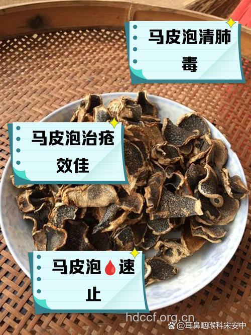 马皮的功效与作用