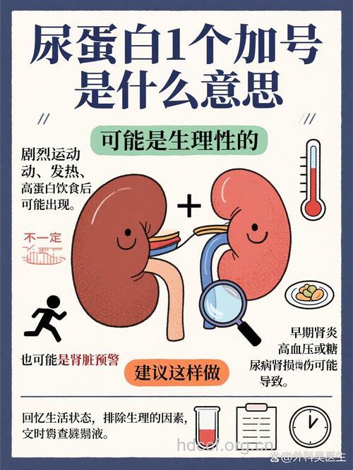 儿童尿检：保护肾脏 呵护未来