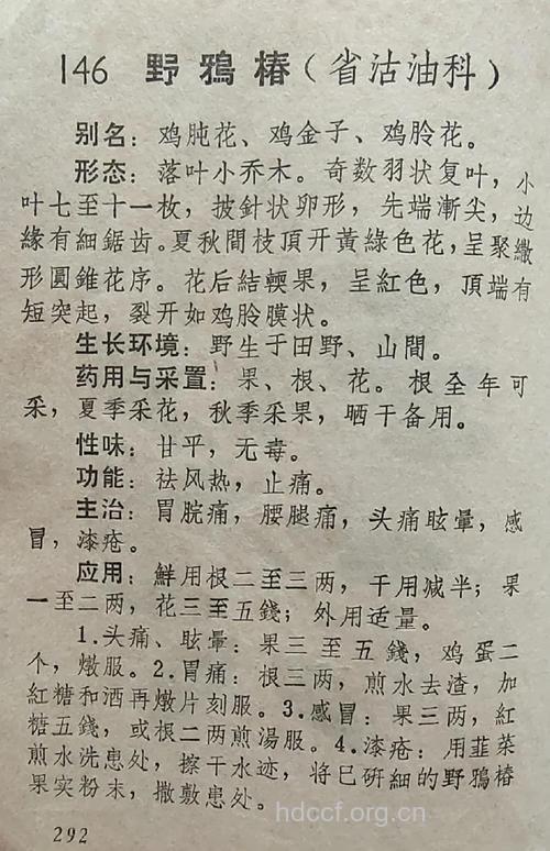 野鸦椿的功效与作用