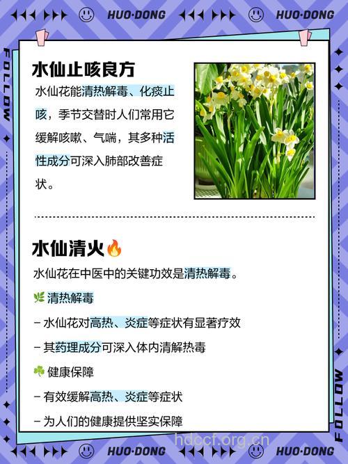 水仙花的功效与作用