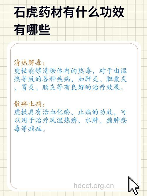石老虎的功效与作用