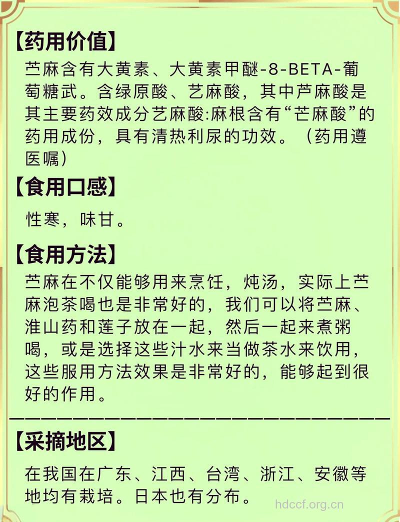 苎麻的功效与作用