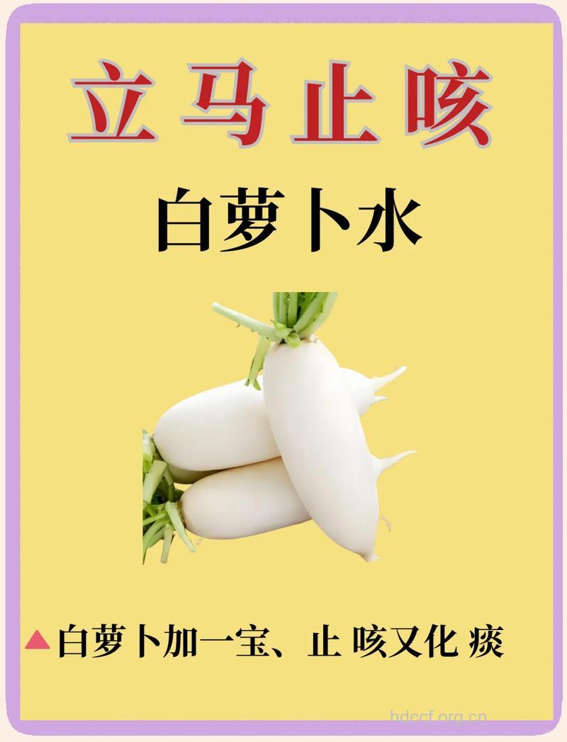 白萝卜煮水有什么功效 既能止咳还抗癌