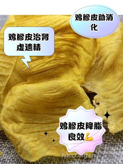 鹈鹕毛皮的功效与作用