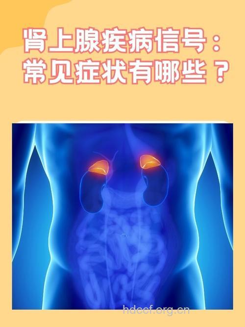 肾上腺异常要怎么查