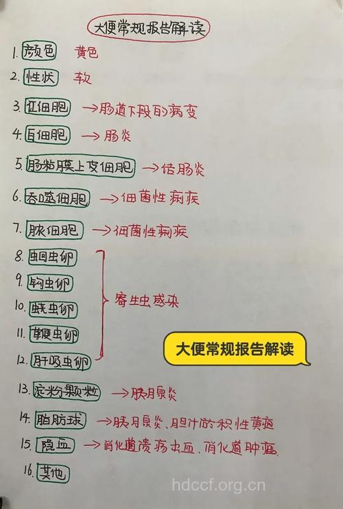 教你如何看懂大便检查