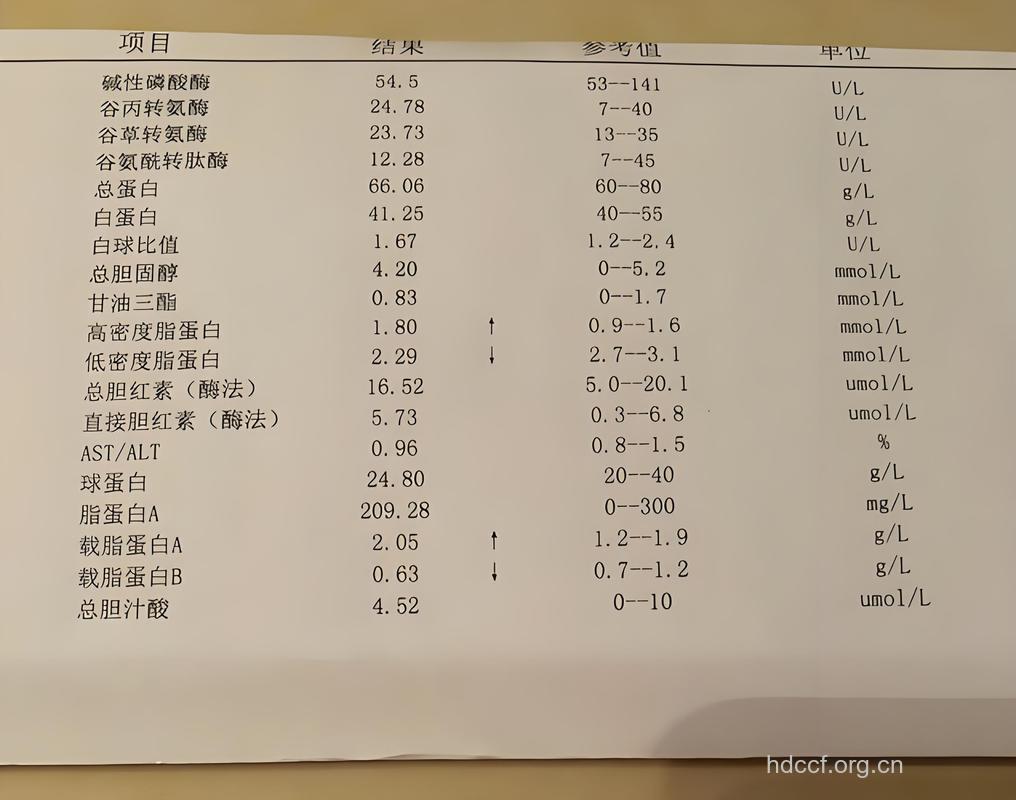 血脂化验单要怎么看