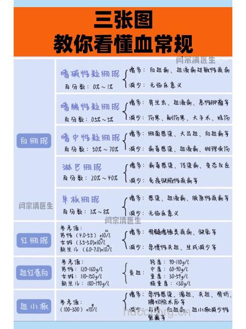 教你怎样看懂血常规化验单