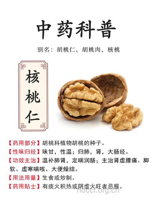 山核桃仁的功效与作用