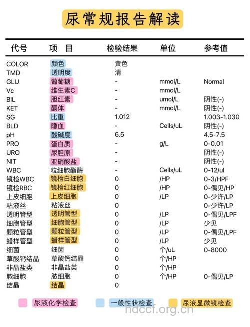 儿童尿常规检查分析