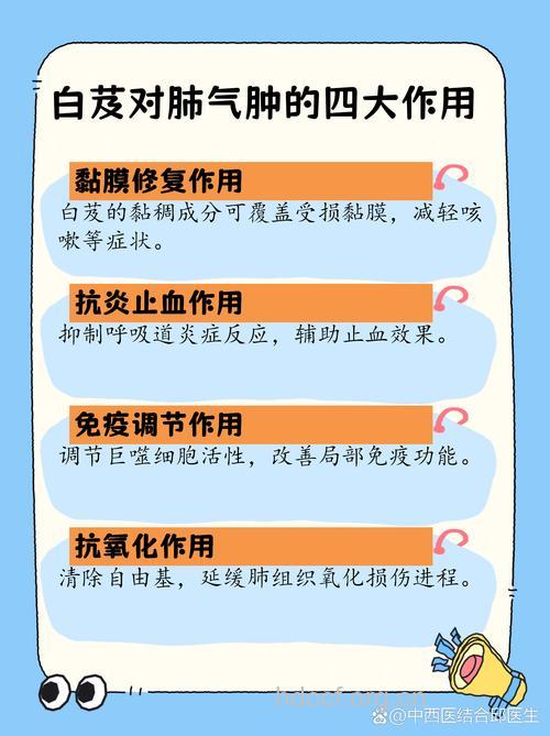 土白芨的功效与作用