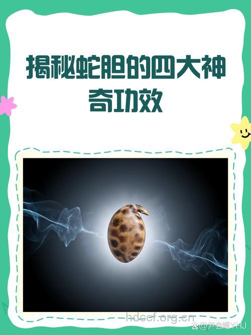 虾蟆胆的功效与作用