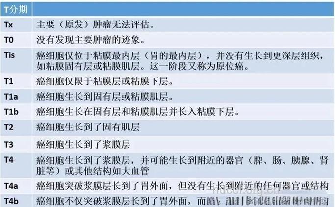 恶性肿瘤胃癌的简介