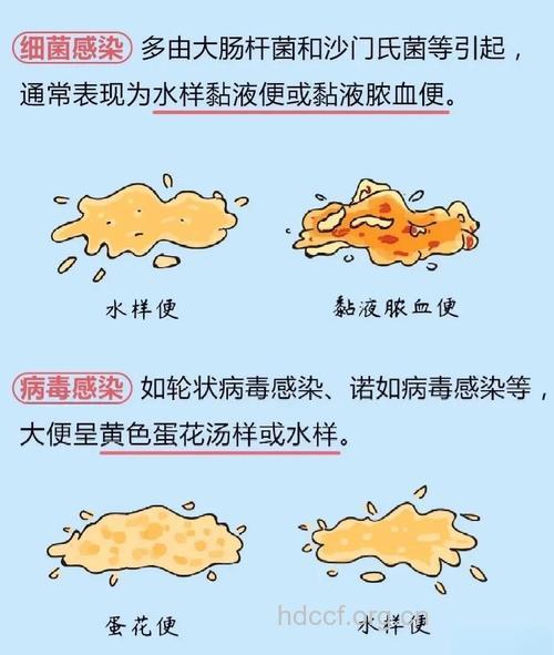 粪便性状有什么诊断提示
