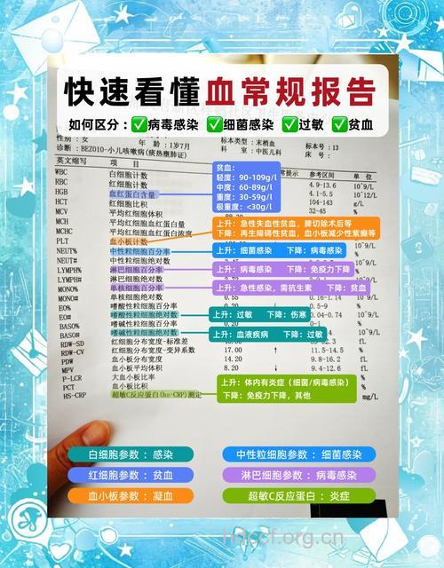 血红细胞检查常识有哪些？