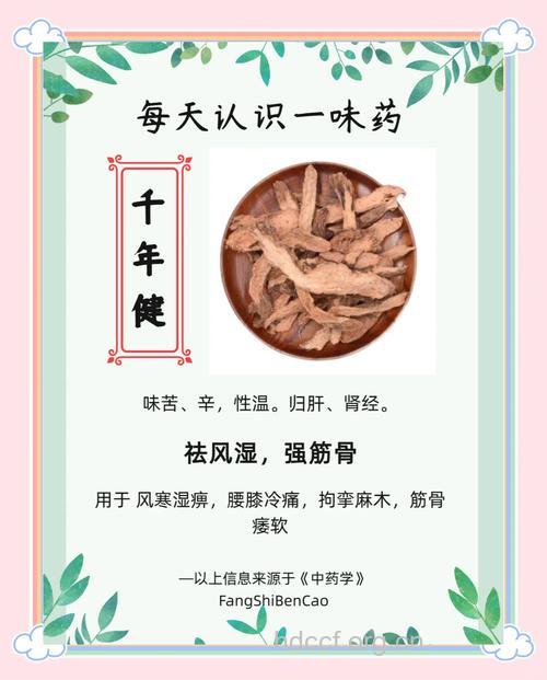 土千年健的功效与作用