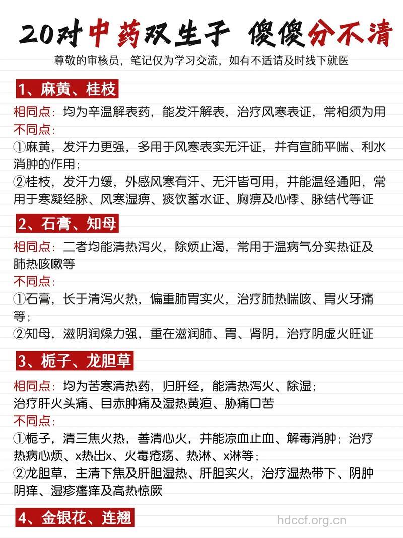 双肾子的功效与作用