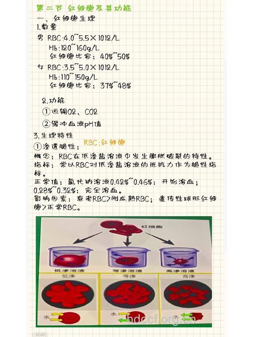 红细胞参数平均值的探究