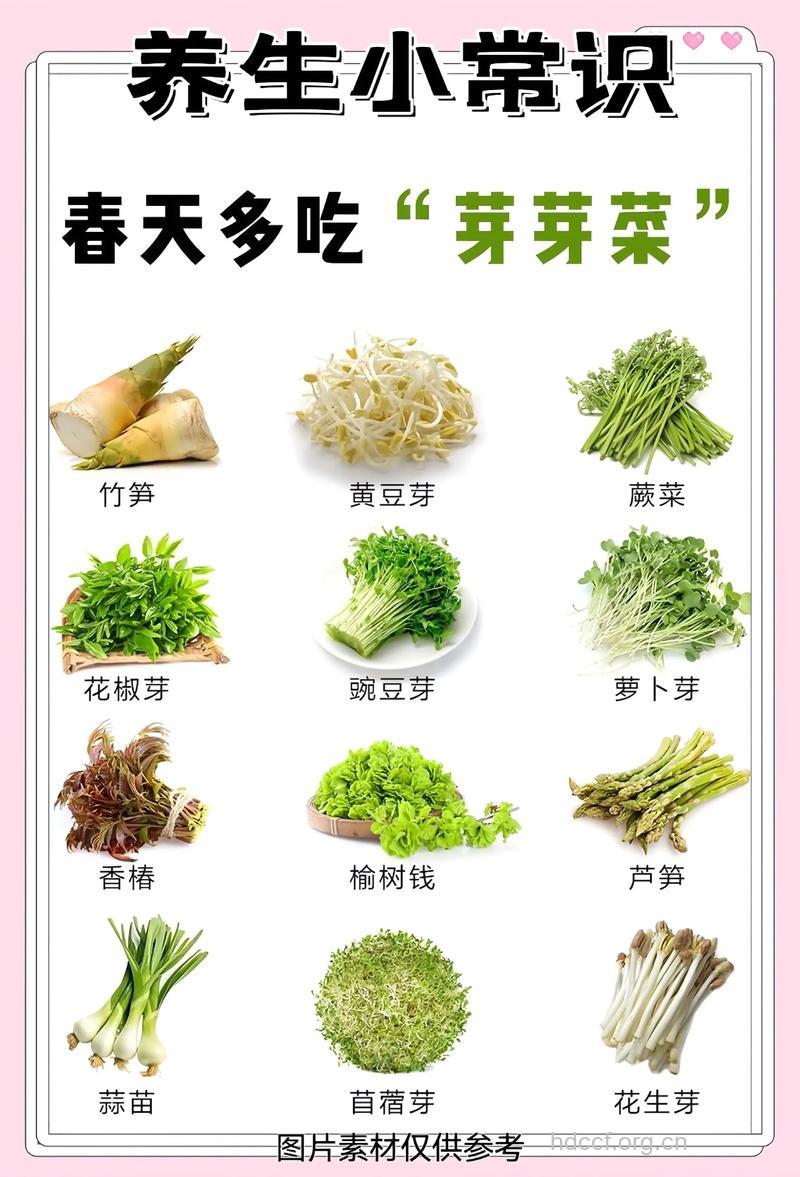 这5类春菜多吃一点能养生