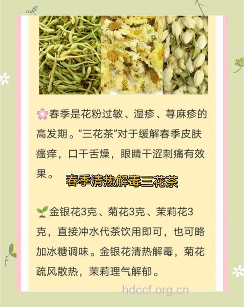 5款茶饮可以对抗春季花粉过敏