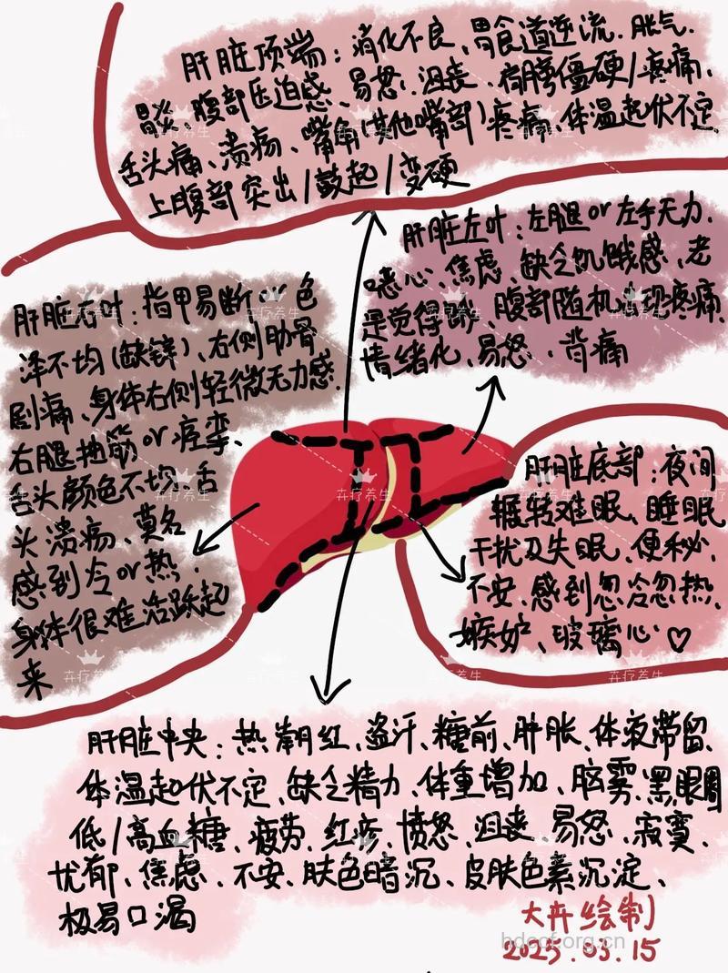 5大因素引起慢性肝损伤