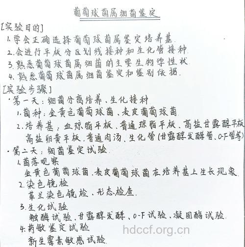 怎么解读细菌学检验报告?
