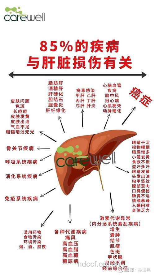 解答:慢性肝病到底有多“慢”