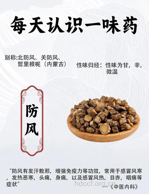 杏仁防风的功效与作用