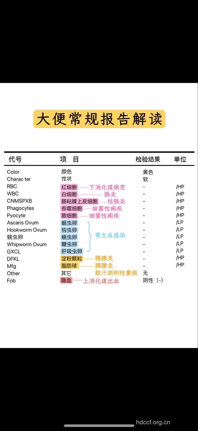 从便常规检查结果看是否正常