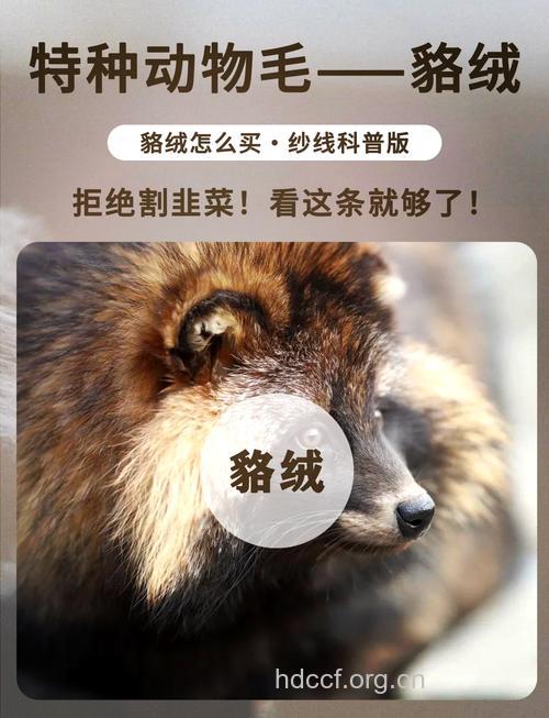 獭皮毛的功效与作用