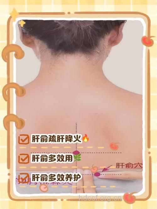 坐在办公室的哪个位置对肝脏有好处