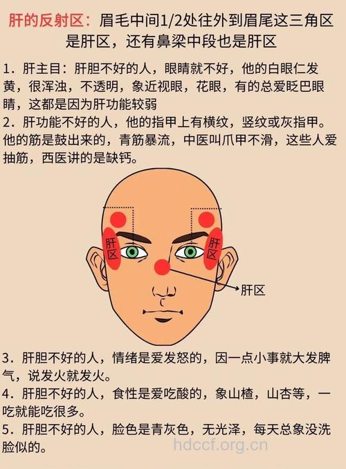 看脸的时代之从脸部看肝部健康