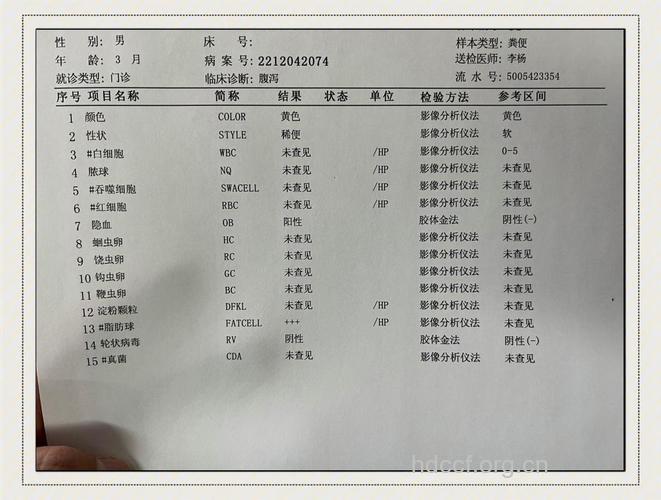 大便化验单要怎么看?