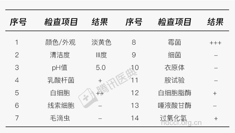 怎么看懂白带检查单