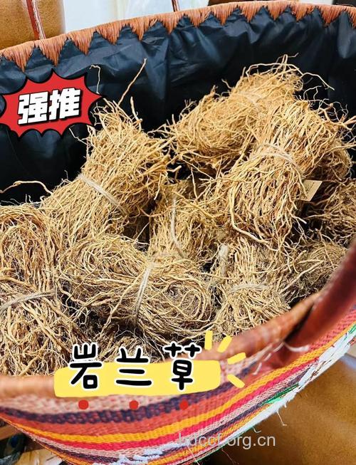 岩春草的功效与作用