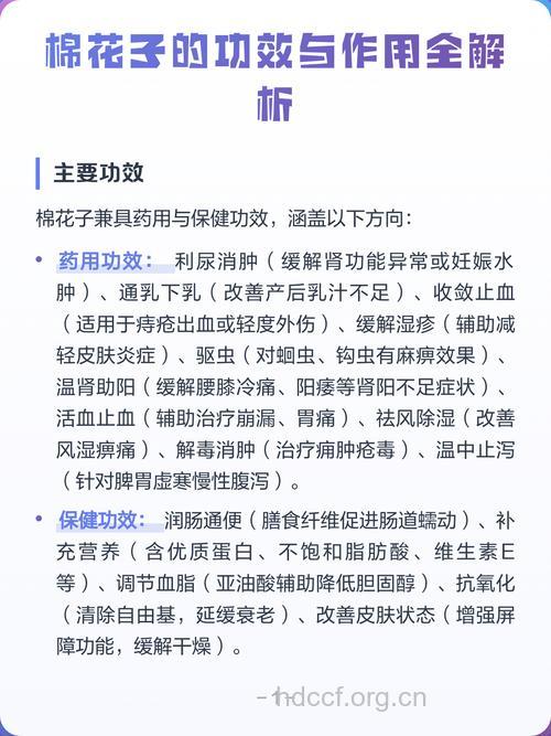 棉花子的功效与作用