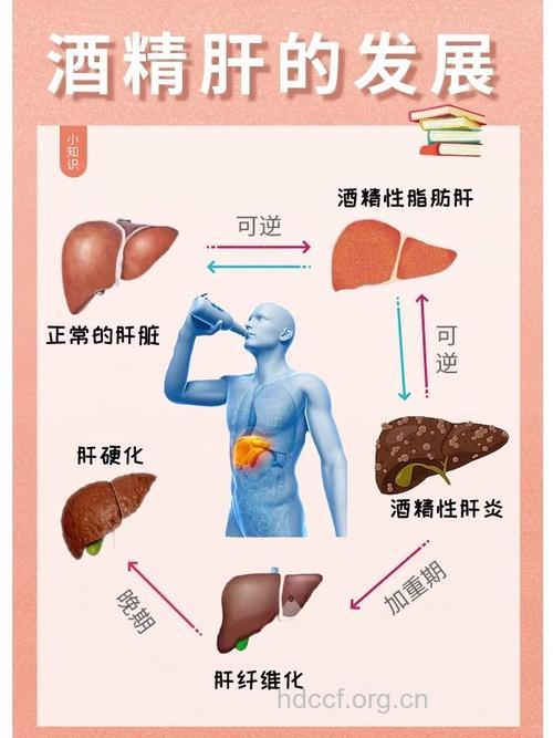喝酒伤肝的程度可以看的见
