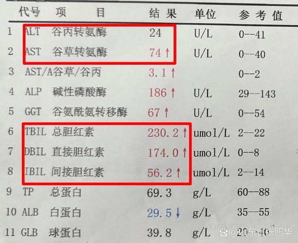 临床检验中的胆碱酯酶检查