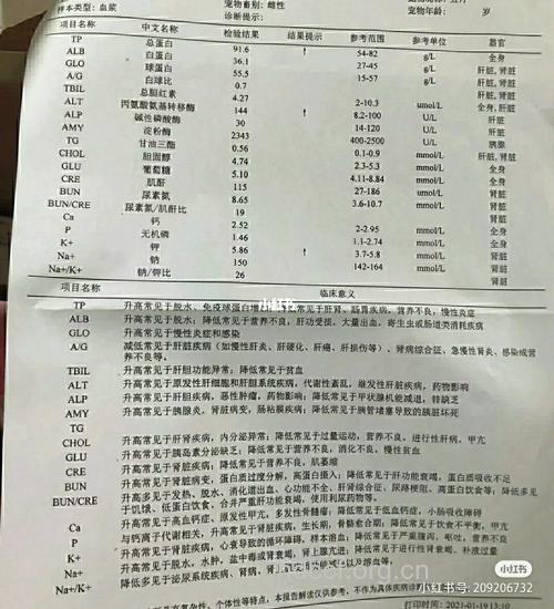 了解肌钙蛋白的检查