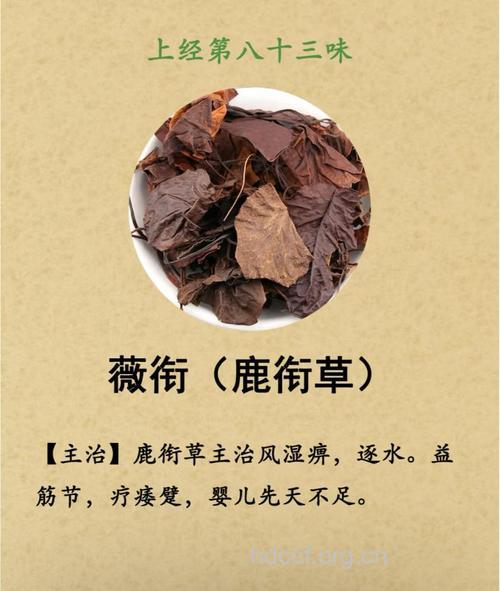 鹿蹄根的功效与作用