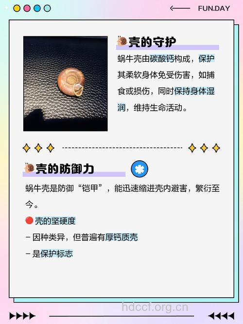 蜗牛壳的功效与作用